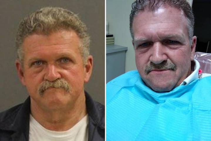 'Special place in hell' for man accused of brutally killing pregnant dog: prosecutor