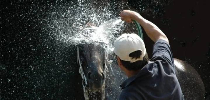 La hípica del interior tiene otra cita en Palermo