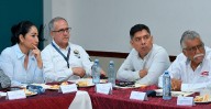 Instalan comité de inversiones en Lázaro Cárdenas, para fortalecer desarrollo económico regional: Sedeco