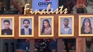 Bigg Boss 19: Is Wikipedia screenshot leaking winner's name real? Fact check here