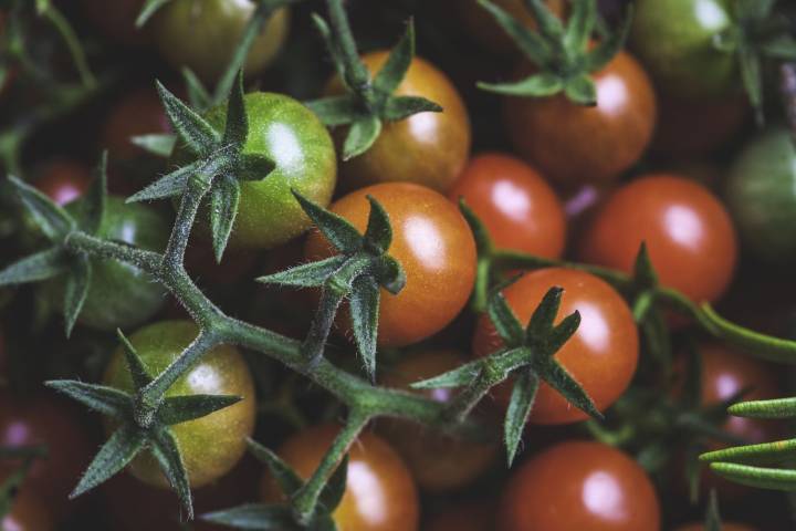 10 Best Foods to Reduce Joint Pain and Inflammation