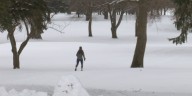 Cross-country ski trails open at Brooks Nature Center after heavy snowfall