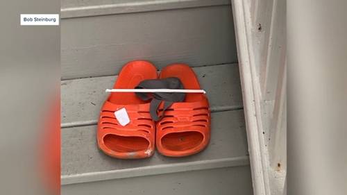 Woman in Chowan County, North Carolina finds potentially armed, dangerous escaped inmate in backseat of car in Edenton