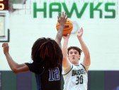 Basketball: Brandon Pelz sparks Bartlett past Larkin