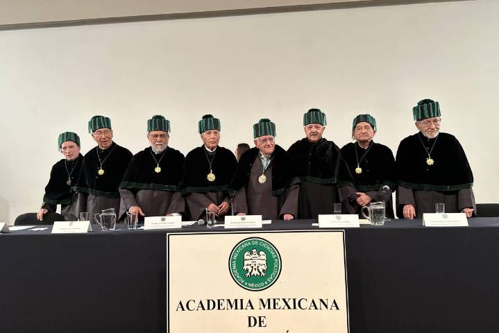 Bellas Artes se rinde ante ‘Catón’