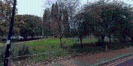 Bethnal Green rape: Woman in her 20s attacked in east London park