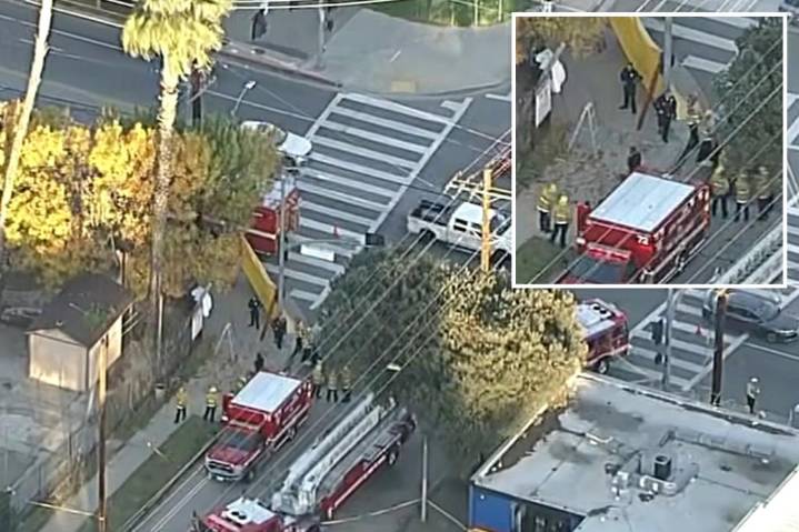 California tree trimmer dead in freak impalement accident