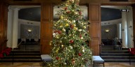 Real or artificial? How your Christmas tree choice impacts the environment