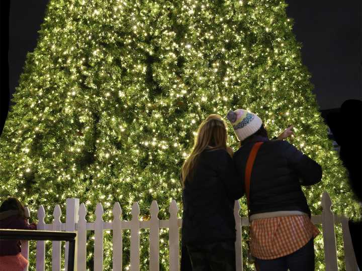 Holiday Lightings to Kick Off the Festivities in the DC Area