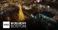 Boston's biggest Christmas tree lit up in the Seaport