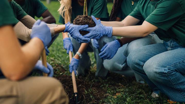 BBVA destinará 300.000 euros a cuatro proyectos solidarios