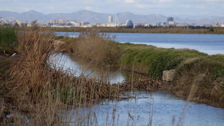 Regenerar playas y dunas, clave para que l’Albufera sobreviva a otra dana