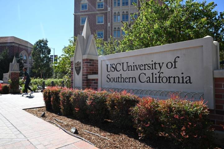 Maggots and stink bugs found in USC dining halls, students say
