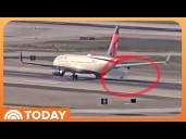 Delta Flight Returns to Airport After Bird Strike