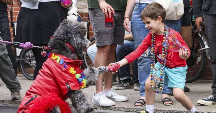 New Orleans' Krewe of Barkus goes 'Wicked' for 2026, with time change for the Super Bowl