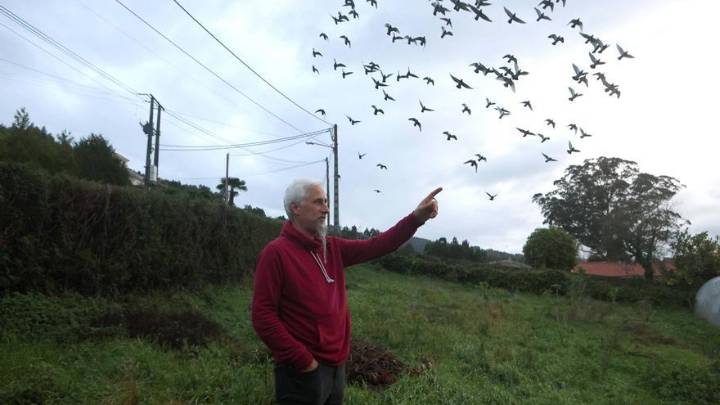 Carlos Budiño, adestrador de pombas en Cambre