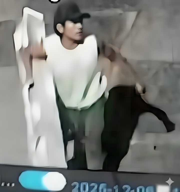 ROBOS QUE INDIGNAN - EXTRA | El Diario de Todos