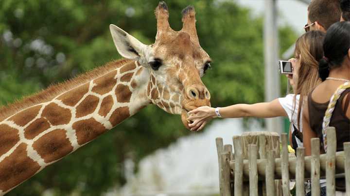 5 animal parks worth checking out