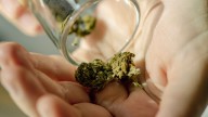 Vomiting Syndrome Linked to Cannabis Is on The Rise in The US