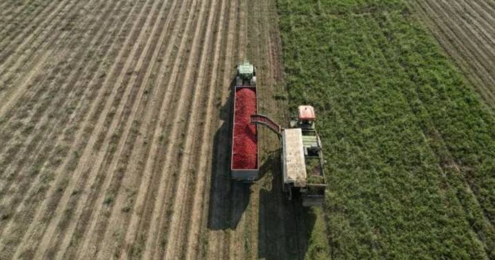 Alivio para el agro: el Gobierno confirmó la baja permanente de retenciones para granos y subproductos