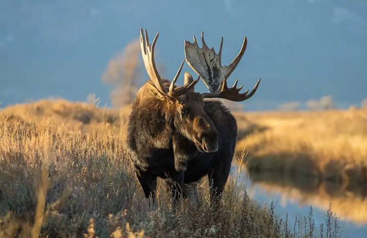 Municipal leaders, MWF sounds the alarm on 30×30: Push for clarity on future of Crown Land access