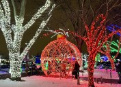 Dazzling Christmas walkthrough has 5 million lights, hundreds of themed displays