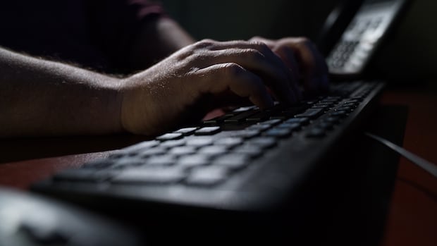 Judge sentences Winnipeg man to 3½ years for AI child sex abuse imagery, child
