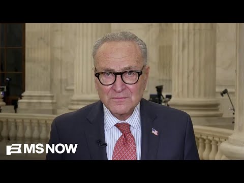 Trump 'is in such an effing bubble!': Schumer torches Trump on affordability crisis