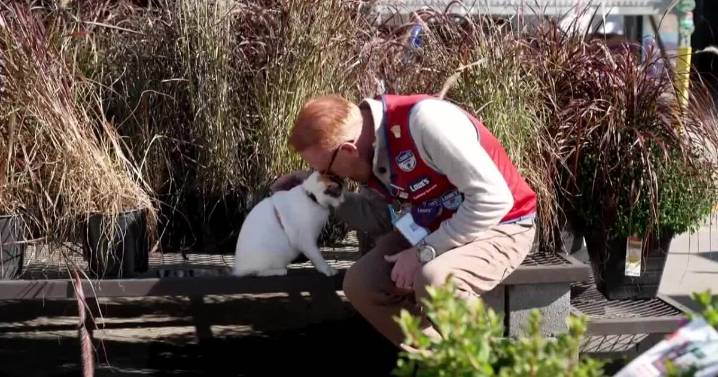 Steve Hartman on rescue operation that got Richmond Lowe's cat Francine 'back where she belongs'