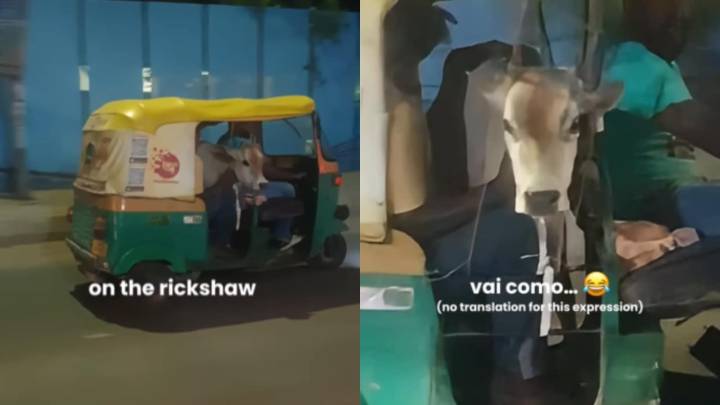 ‘India is very funny country’: Foreign traveller captures calf riding in auto; viral video leaves internet amused