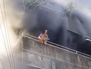 Braving flames, woman risks life to save her dog; video goes viral