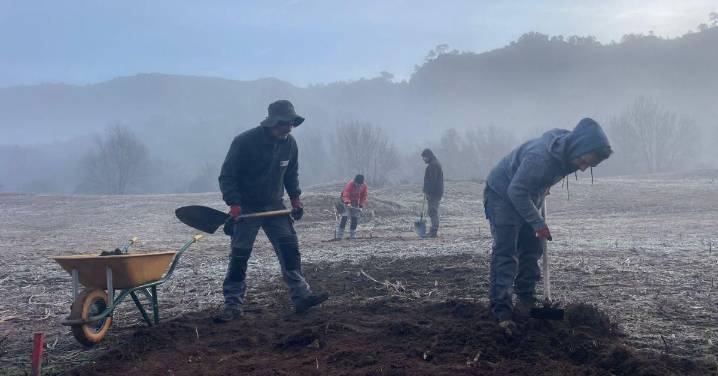 El yacimiento romano de O Bouzadoiro, al descubierto