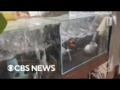 Watch: Security camera footage shows powerful earthquake shaking Japan