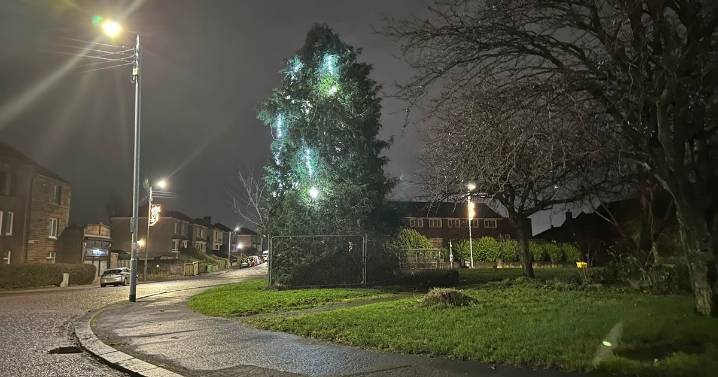 Glasgow east end man left disappointed at 'sad' Christmas tree lights