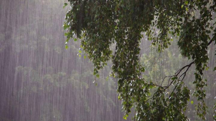 Kerala weather: Heavy rain and thunderstorm alert issued in three districts today