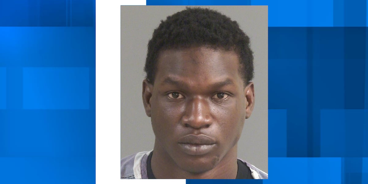 North Charleston Police arrest accused serial burglar