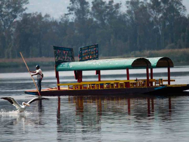 Diputados alertan sobre retraso presupuestal, caos en movilidad y contaminación en Xochimilco