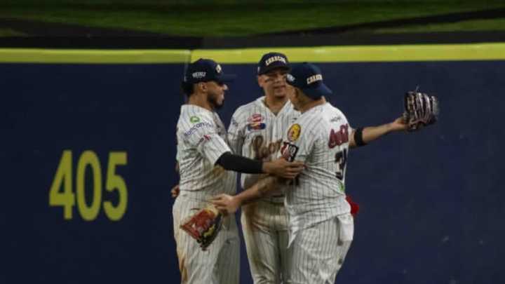 LVBP: Resultados de este domingo 07 de diciembre