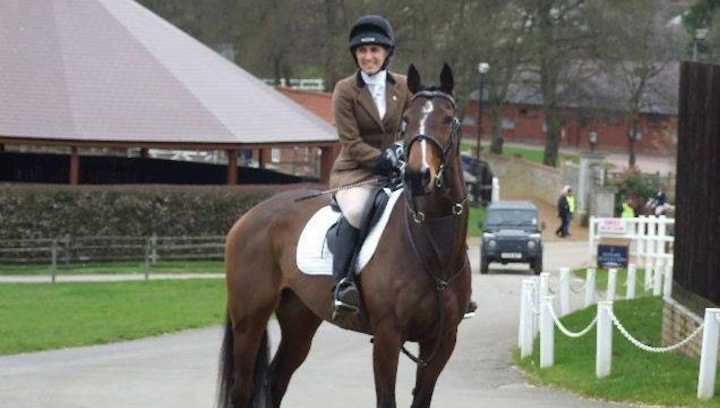 Horse chased over five-bar gate on to road by loose dog