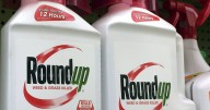 Roundup: Glyphosate herbicide study retracted 25 years later