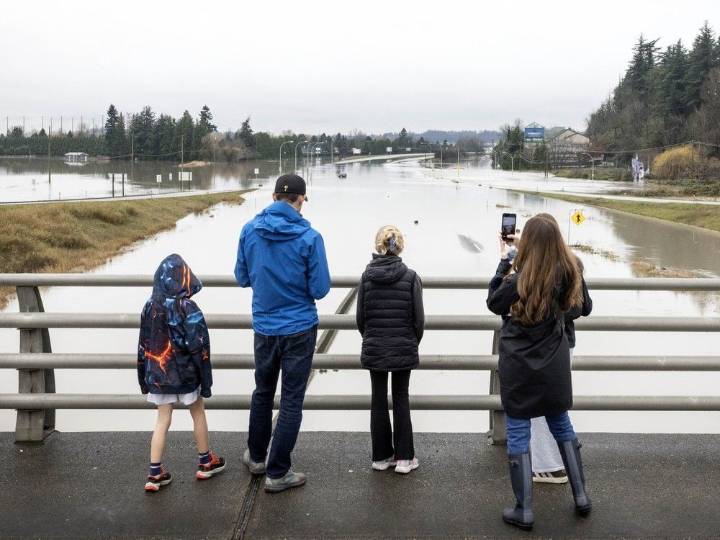 'Frustrating and defeating': More rain in forecast as Abbotsford surveys flood damage