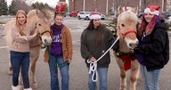 Carroll College anthrozoology horses bring holiday cheer