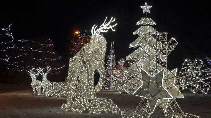Sneak a peak at the final year of Bright Lights, Holiday Nights