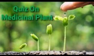 Online Quiz on Medicinal Plants Begins Dec 10 in Bhubaneswar
