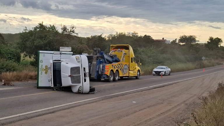 Torton vuelca en la carretera Mazatlán–Culiacán tras maniobra para evitar arrollar un burro