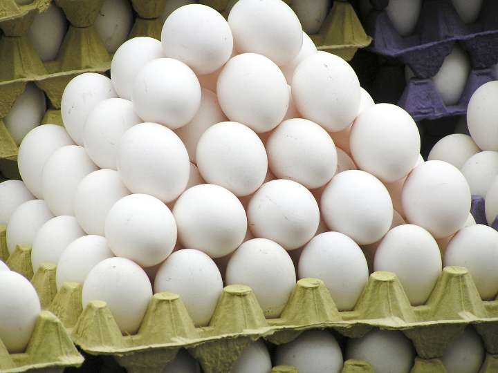 FSD Raids Srinagar Markets Over Alleged Adulterated Eggs