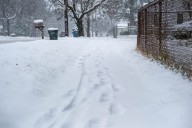 Mass. weather: Windy, frigid conditions on Friday as weekend snow looms