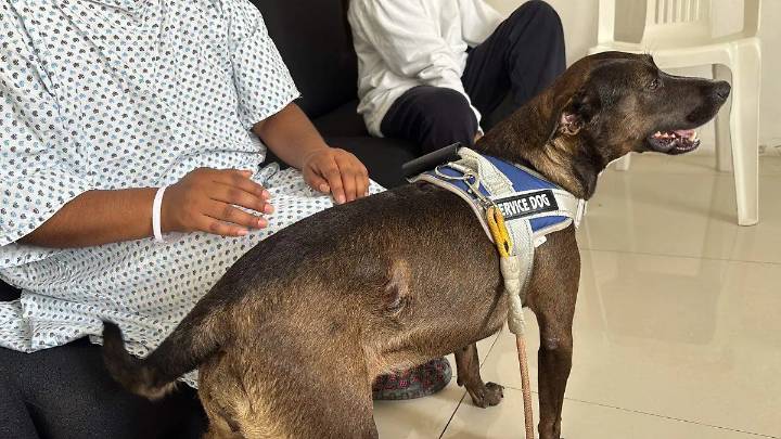 Hospital de Salud Mental de Orizaba usa perros de apoyo emocional, te contamos