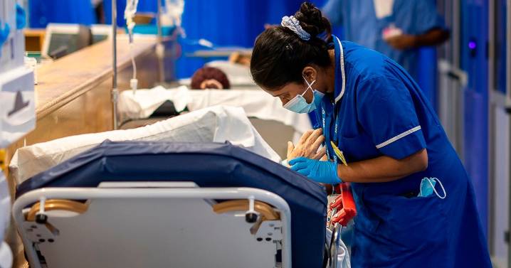 A&E alert as medics warn ‘this winter we will see NHS gridlock’