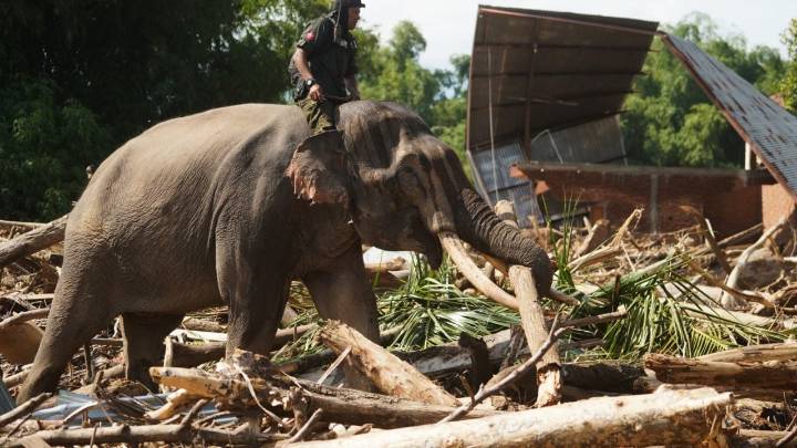 Suman 961 los muertos por las inundaciones en el oeste de Indonesia